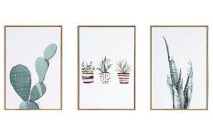 Set tří obrazů Somcasa Cactus 60 x 40 cm